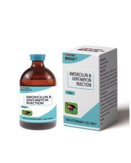 product 02